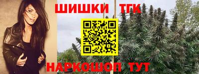 бошки Славгород