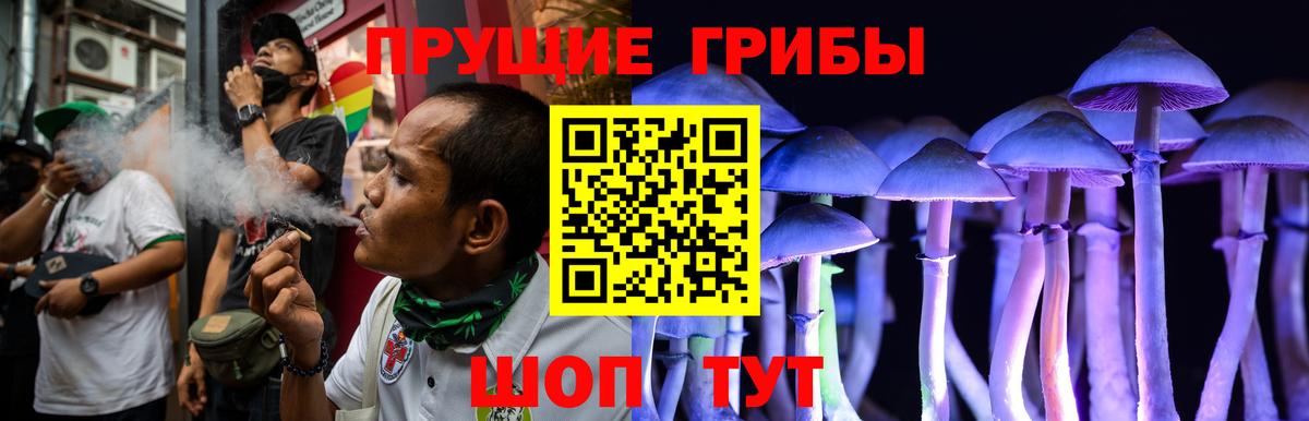 Галлюциногенные грибы мицелий Муром