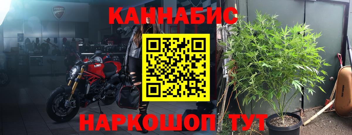Конопля White Widow  Бошки Шишки MAZAR  МАРИХУАНА гибрид  Бошки Шишки семена  Муром  Вход с VPN 